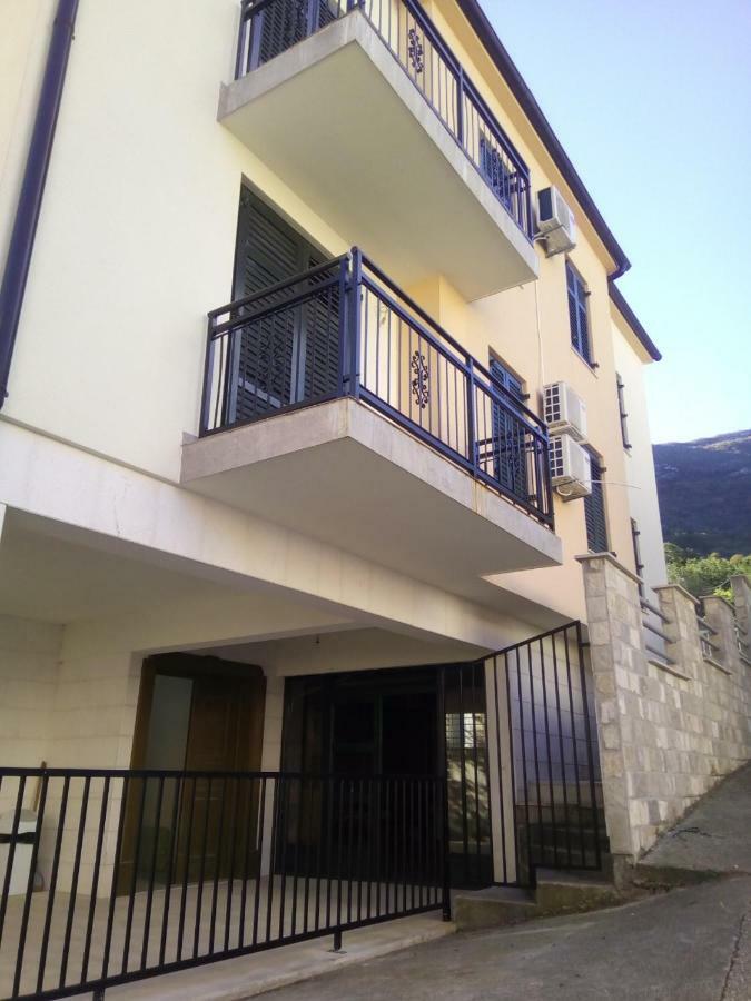 Apartmani Petrija เพรอชานิ ภายนอก รูปภาพ